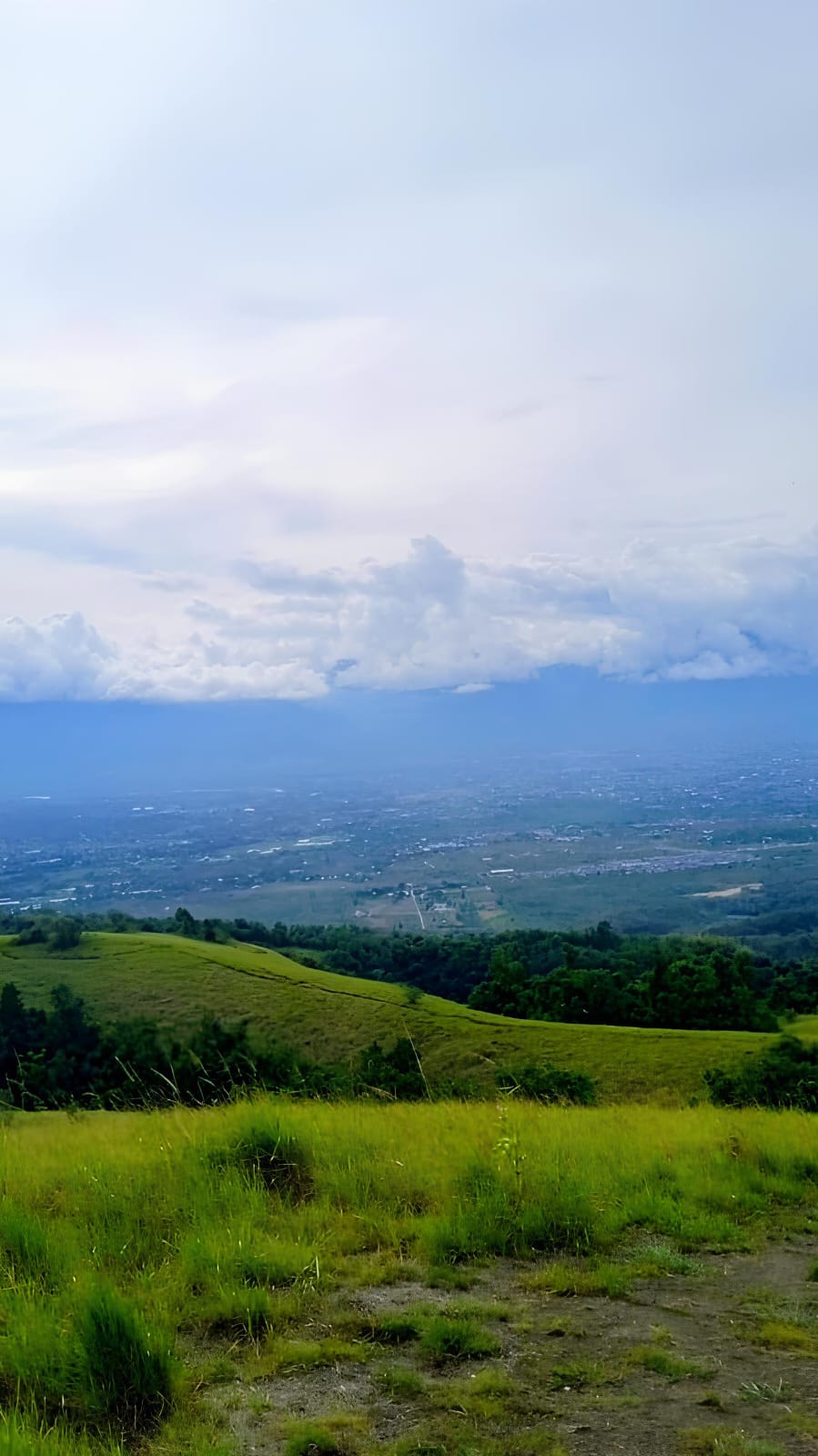 Buu Oge 650 Mdpl: Pesona Savana Alami yang Tersembunyi di Kabupaten Sigi 650 Mdpl